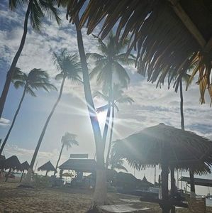 Meet your Posher, Michele